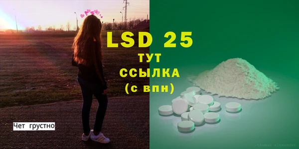 PSILOCYBIN Алзамай
