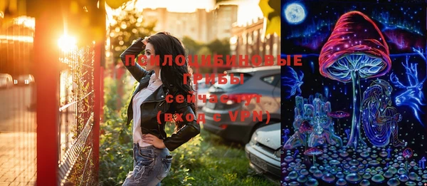 PSILOCYBIN Алзамай