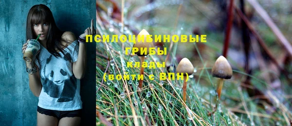 соль курить ск Алексеевка