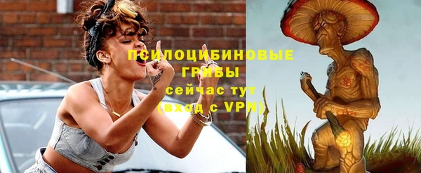 прущий лед Алексин