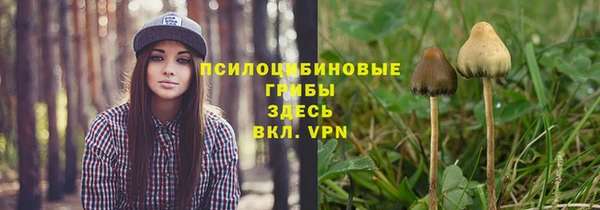 соль курить ск Алексеевка