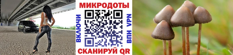 купить  цена  Вихоревка  Галлюциногенные грибы Psilocybe 